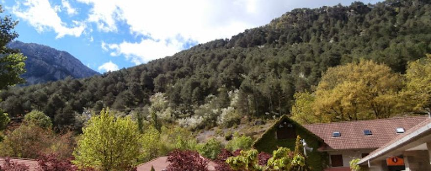 Camping Vives