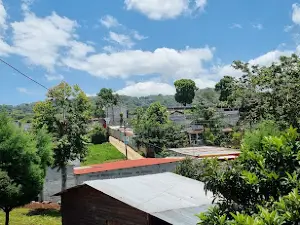 Barberena