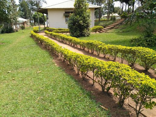 National Forestry Authority - Namanve