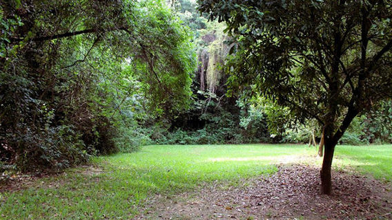 Hidden Valley @ Gro Mad Plantations