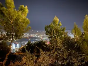해피 파크 - 자와