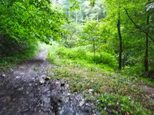 Kuziy - Trybushansʹkyy Masyv. Zapovidnyk.