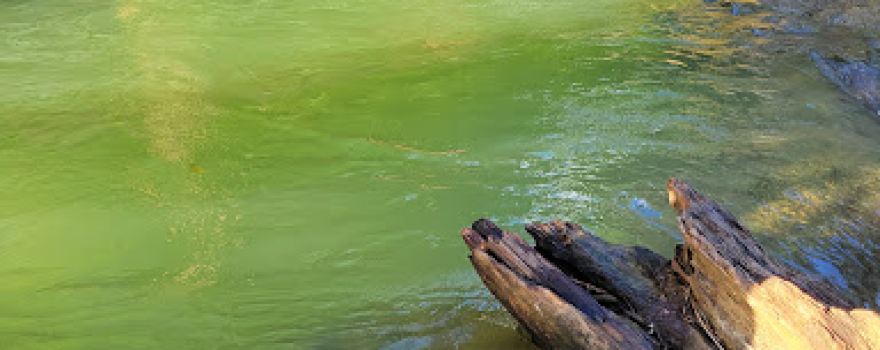 St. Toolis Best River