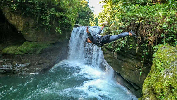 Poza Pata De Perro del Shiro