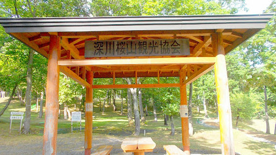 桜山公園