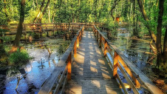 Fényes Nature Trail