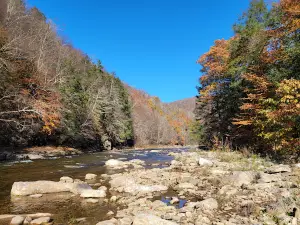 World's End State Park Family Campground