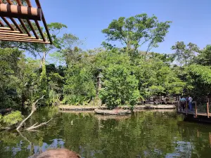 Parque de Aventura Xejuyup