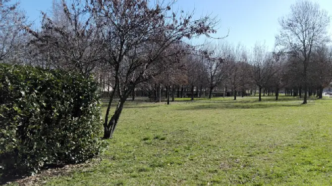 DBalan Giardinaggio Bologna