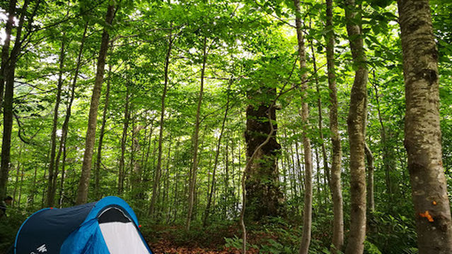 Kuzuyayla Nature Park