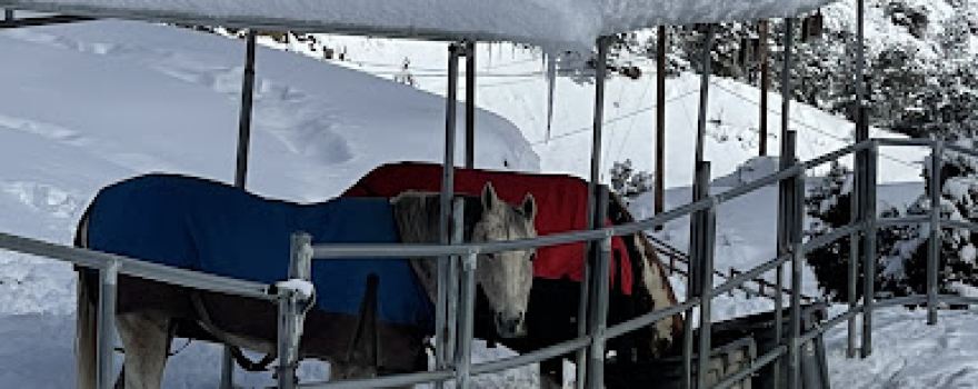 Pine Mountain Club Stables
