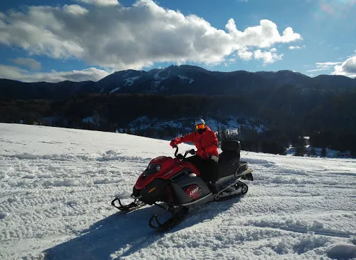 波亞納布拉索夫