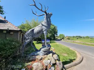 Highburn House Caravan Park