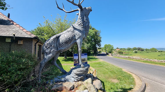 Highburn House Caravan Park