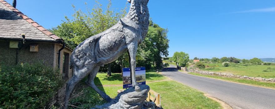 Highburn House Caravan Park