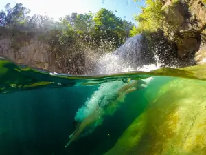 Fossil Creek Waterfall