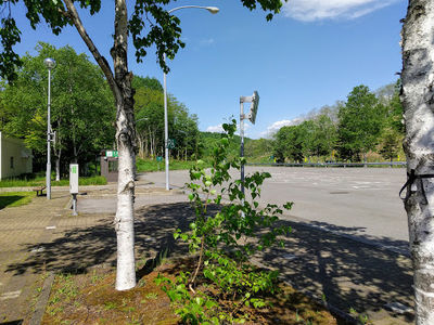 Chashinai parking Area (Down)