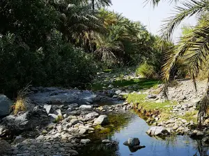 Wadi Fazah