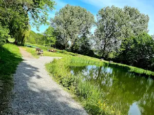 Angelteiche Beverstedt