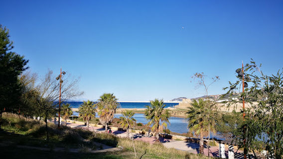 حديقة Garden