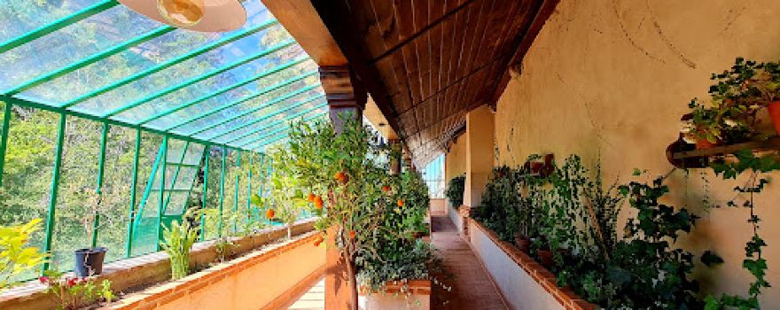 Histórico Artístico el Bosque de Béjar Garden