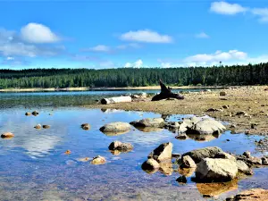 Molly Brown Campground