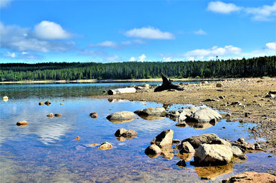 Molly Brown Campground