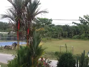 Lapangan Sepak Bola Tapung Lestari