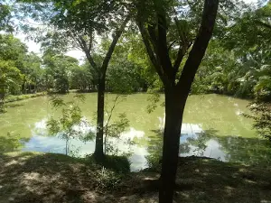 Mridha Bari Jame Mosque