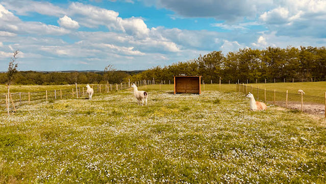 Parc communal du papillon de la prée et sa ferme pédagogique