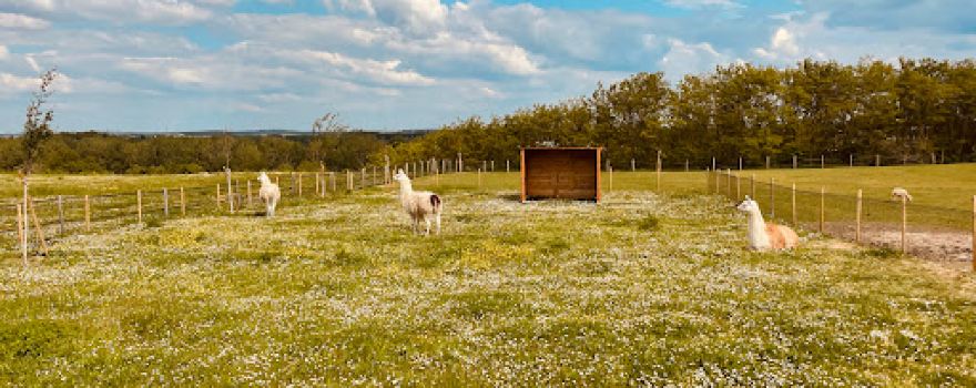 Parc communal du papillon de la prée et sa ferme pédagogique