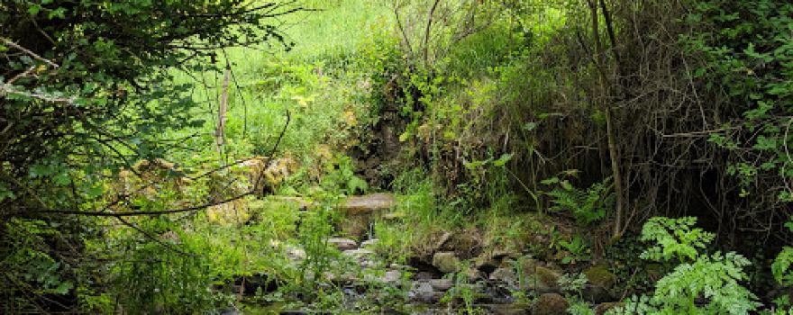 Área recreativa Ponte das Taboas