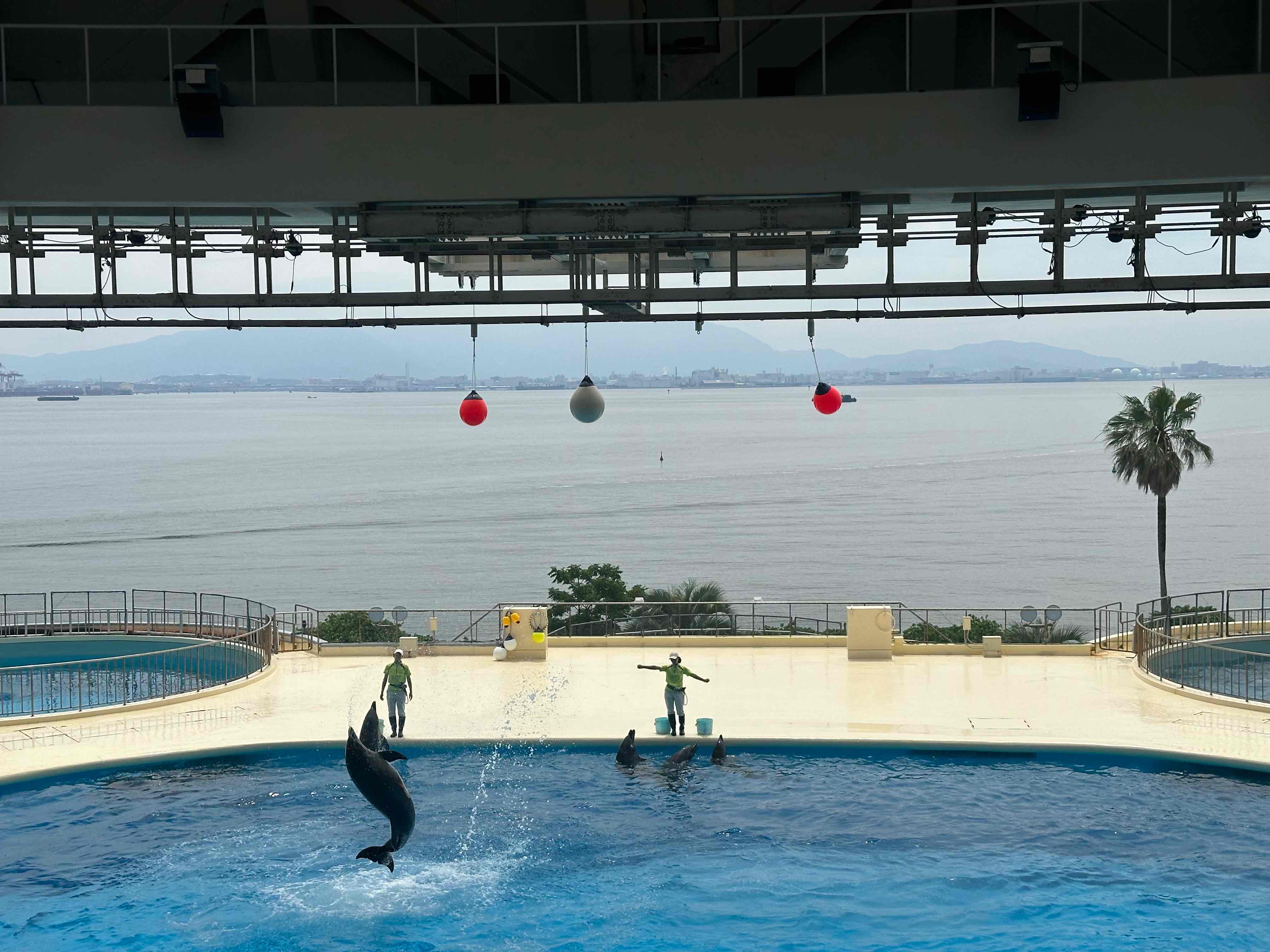 福岡 マリンワールド海の中道 入場Eチケット 予約（即日発券）