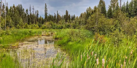 喬治·希克斯社區公園