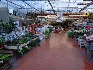 Green Jardinerie