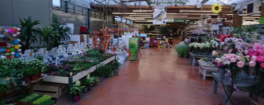 Green Jardinerie