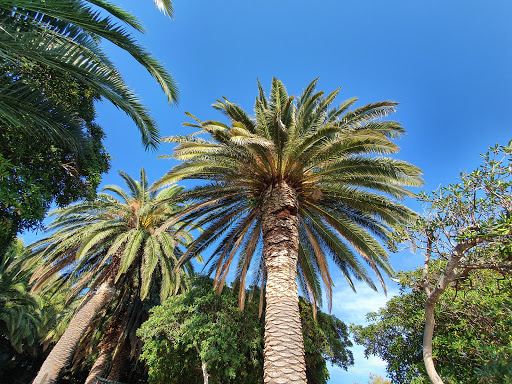 Palme Campsite