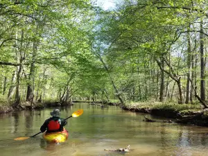 Wolf River