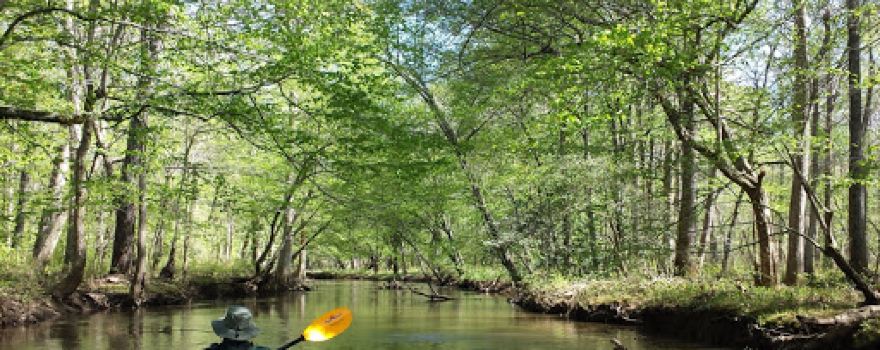 Wolf River