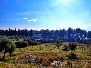 Aytepe Picnic Area