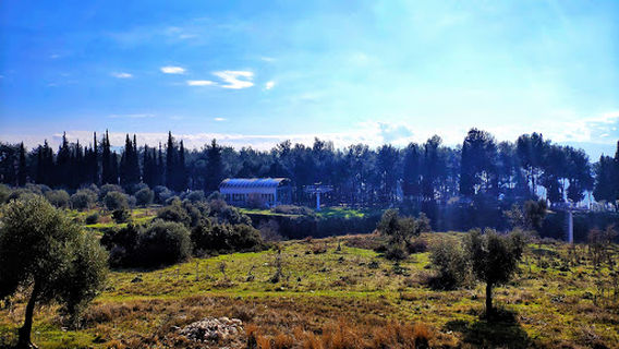 Aytepe Picnic Area