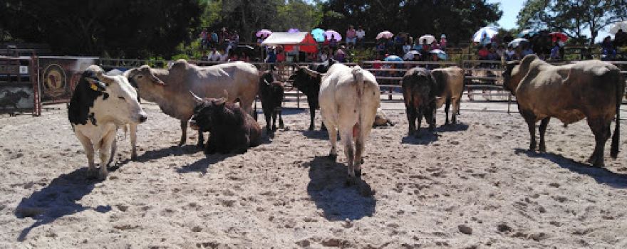 Cancha Municipal de San Juan Tepezontes