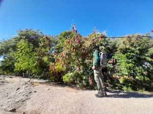La Gota