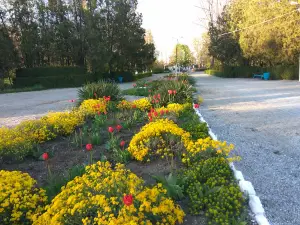 Park