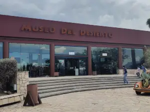 Museo del Desierto