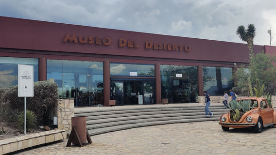 Museo del Desierto