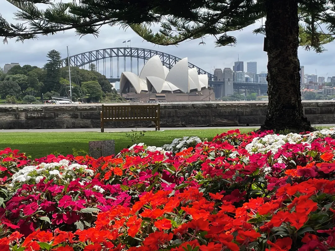 4_The Opera House to the Botanic Gardens Walk