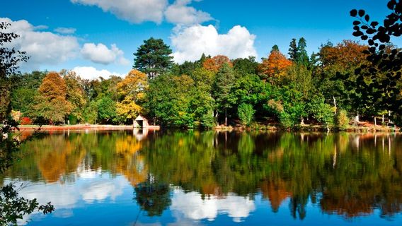 버컨 컨트리 공원