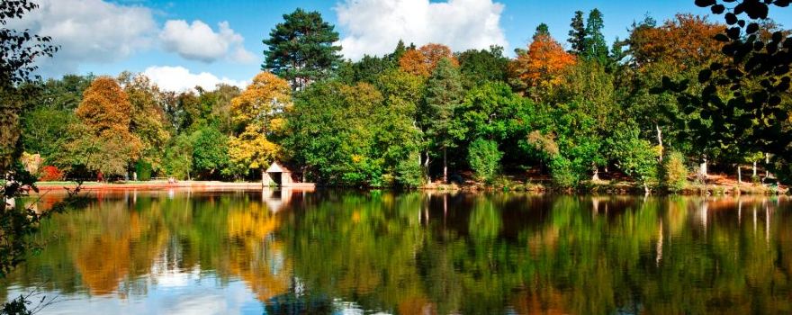 Buchan Country Park