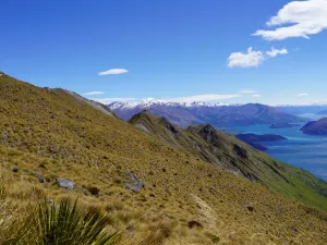 Roys Peak Track